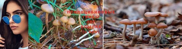 мет Коряжма