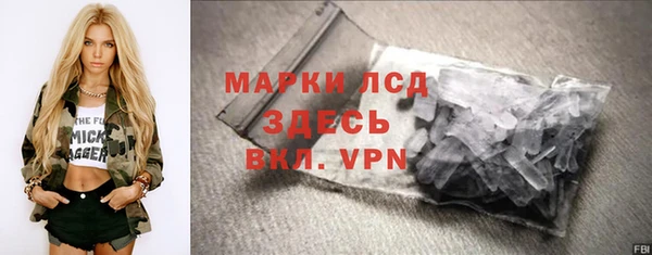 гашик Краснослободск