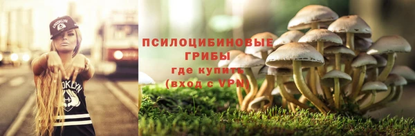 метамфетамин Козловка