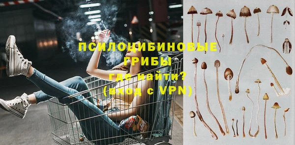 мет Коряжма