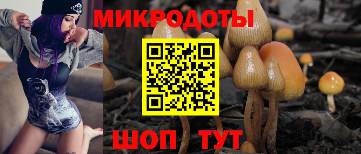 Псилоцибиновые грибы прущие грибы Костомукша