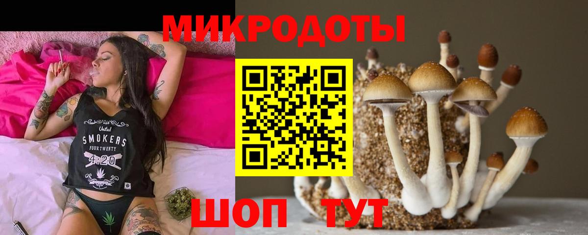 Костомукша  Галлюциногенные грибы GOLDEN TEACHER  Вход с VPN 